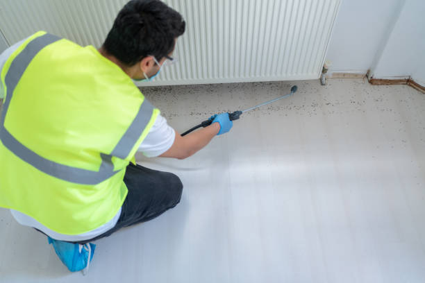 Best Fumigation Services  in Halstead, KS